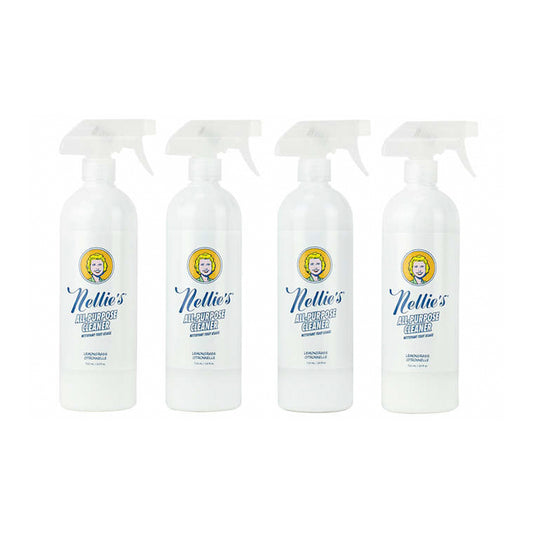 Spot and stain remover