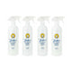 Spot and stain remover